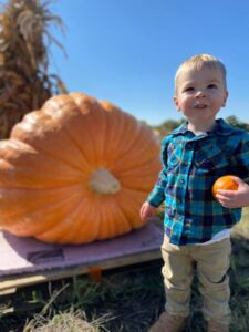 Little Pumpkin Big Pumpkin